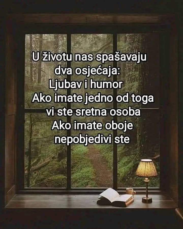 anci68pavlovic's tweet image. 