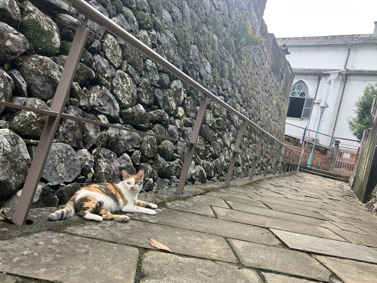 min18317's tweet photo. 明日は晴天です！
めでたき日いろいろと楽しみです✌︎✌︎ https://t.co/DrYethLLAg