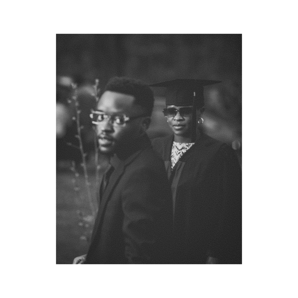 MF • WAVE • ZILLA tweet media