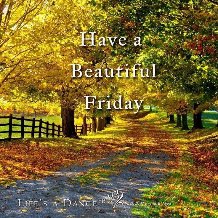 PositivelySuns1's tweet photo. Happy Friday! Love yourself! 🌞   

#happyfriday #fall #falltrees #fallpath #loveyourself #positivelysunshine https://t.co/WbFYgJxUf5
