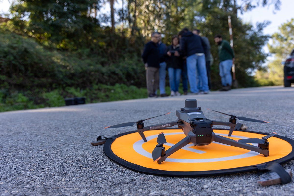 CoLAB ForestWISE tweet media