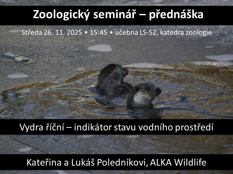 Zoo_UPOL's tweet photo. Zveme  na poslední přednášku v cyklu Zoologických seminářů na Katedře zoologie , která se bude konat ve středu 26. 11. od 15:45 v  učebně LS-S2. O vydře říční jako indikátoru stavu vodního prostředí budou přednášet Kateřina a Lukáš Poledníkovi ze společnosti ALKA Wildlife. https://t.co/zjmYmLSPLL