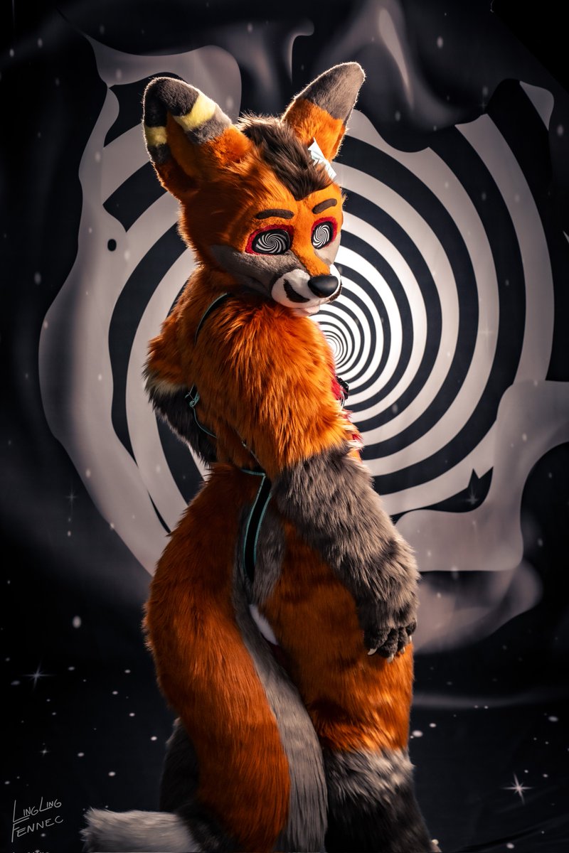 SvenFennec's tweet image. Are you dizzy for the weekend? 🦊🌀
📸: @/linglingfennec on bsky social 
🧵: @Roofur 
#FursuitFriday #Fursuit #FurryFandom