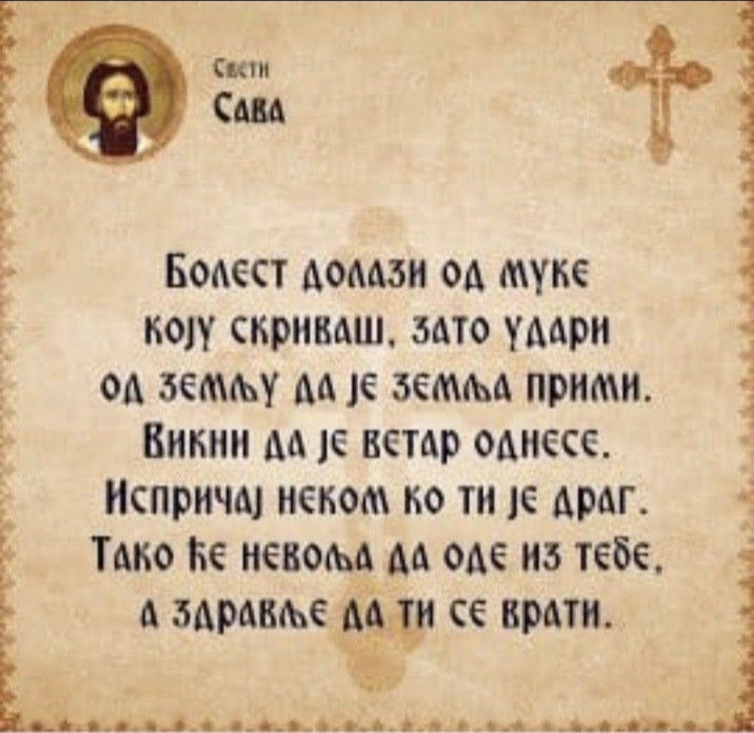 anci68pavlovic's tweet image. 