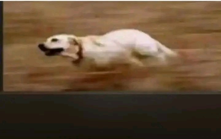 chadoxweb3's tweet image. When chief tell your babe to come over😆😆