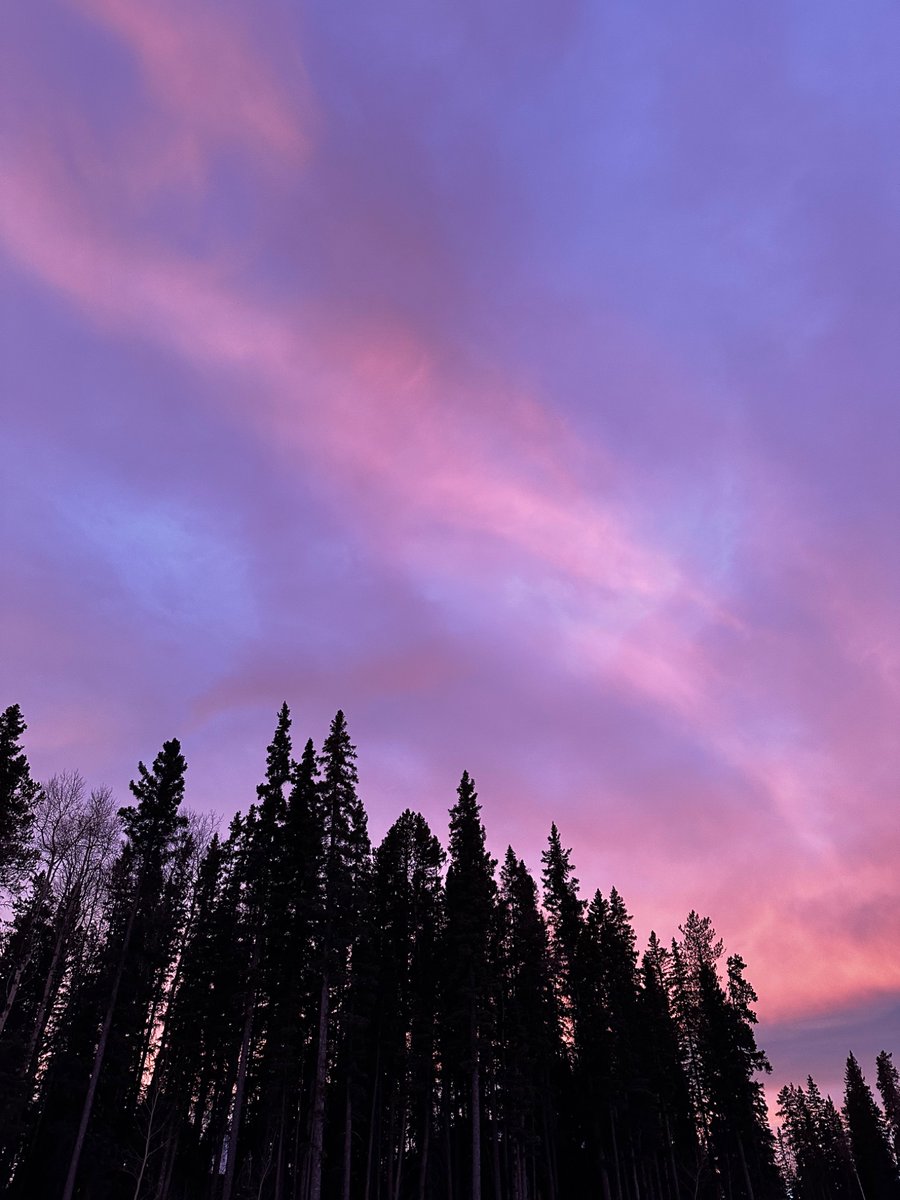 grimeywonderj's tweet image. 