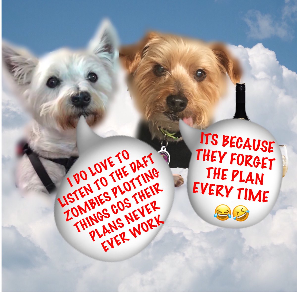 Bazz Pearson tweet media