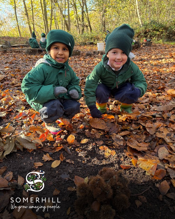 SomerhillKent's tweet image. 🍂 Our Reception children have been busy exploring our beautiful Somerhill woodlands this week; discovering autumn treasures, enjoying the fresh air, and getting wonderfully creative.

#Somerhill #Reception #OutdoorLearning #BeautifullyUnique #WeGrowAmazingPeople