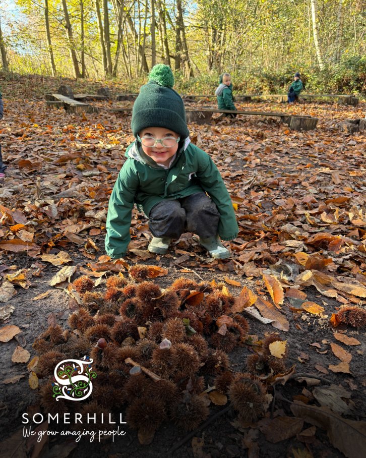 SomerhillKent's tweet image. 🍂 Our Reception children have been busy exploring our beautiful Somerhill woodlands this week; discovering autumn treasures, enjoying the fresh air, and getting wonderfully creative.

#Somerhill #Reception #OutdoorLearning #BeautifullyUnique #WeGrowAmazingPeople