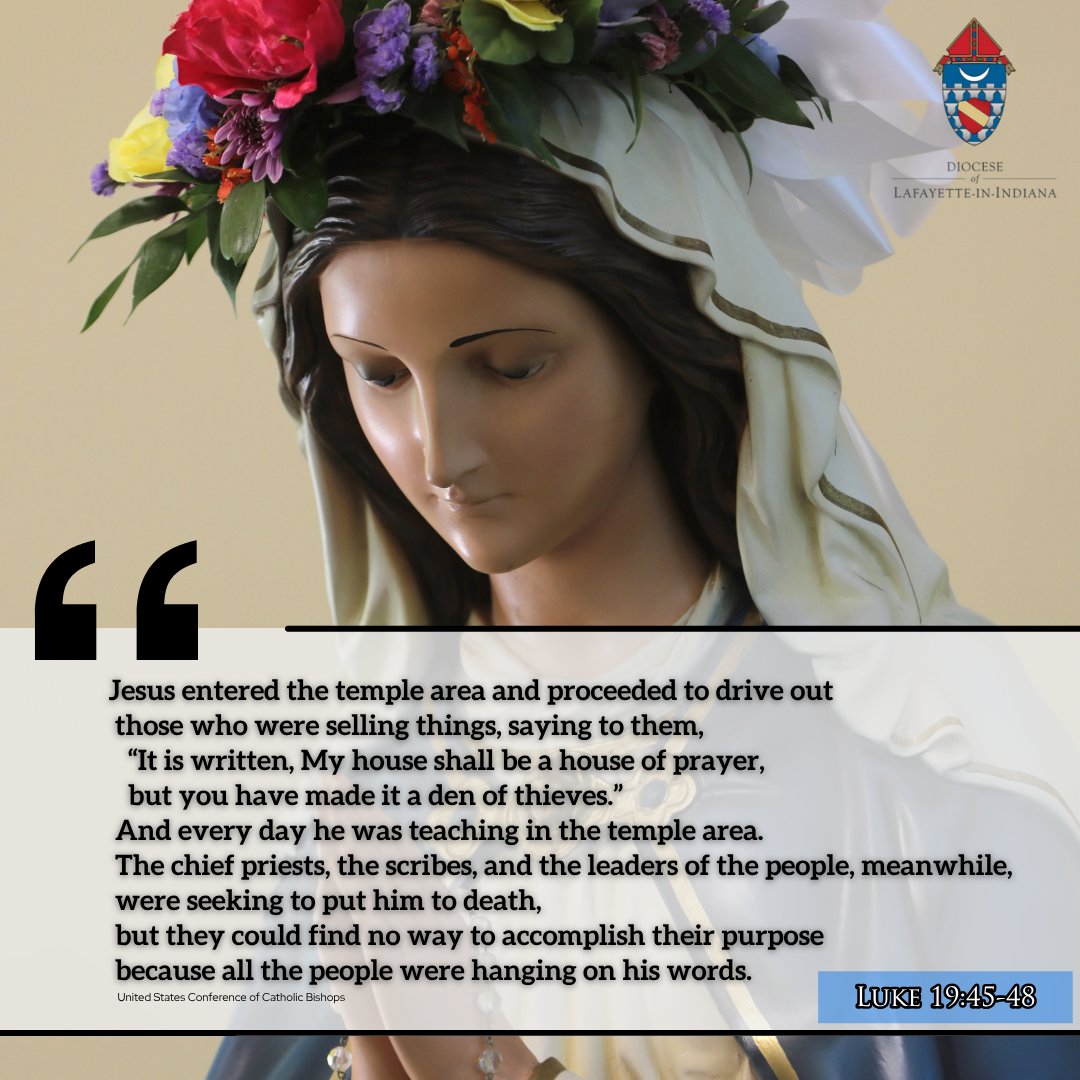 Today’s Gospel reading is in celebration of the Memorial of the Presentation of the Blessed Virgin Mary from Luke 19:45-48. Other readings from today can be found on the USCCB's website at: bible.usccb.org.