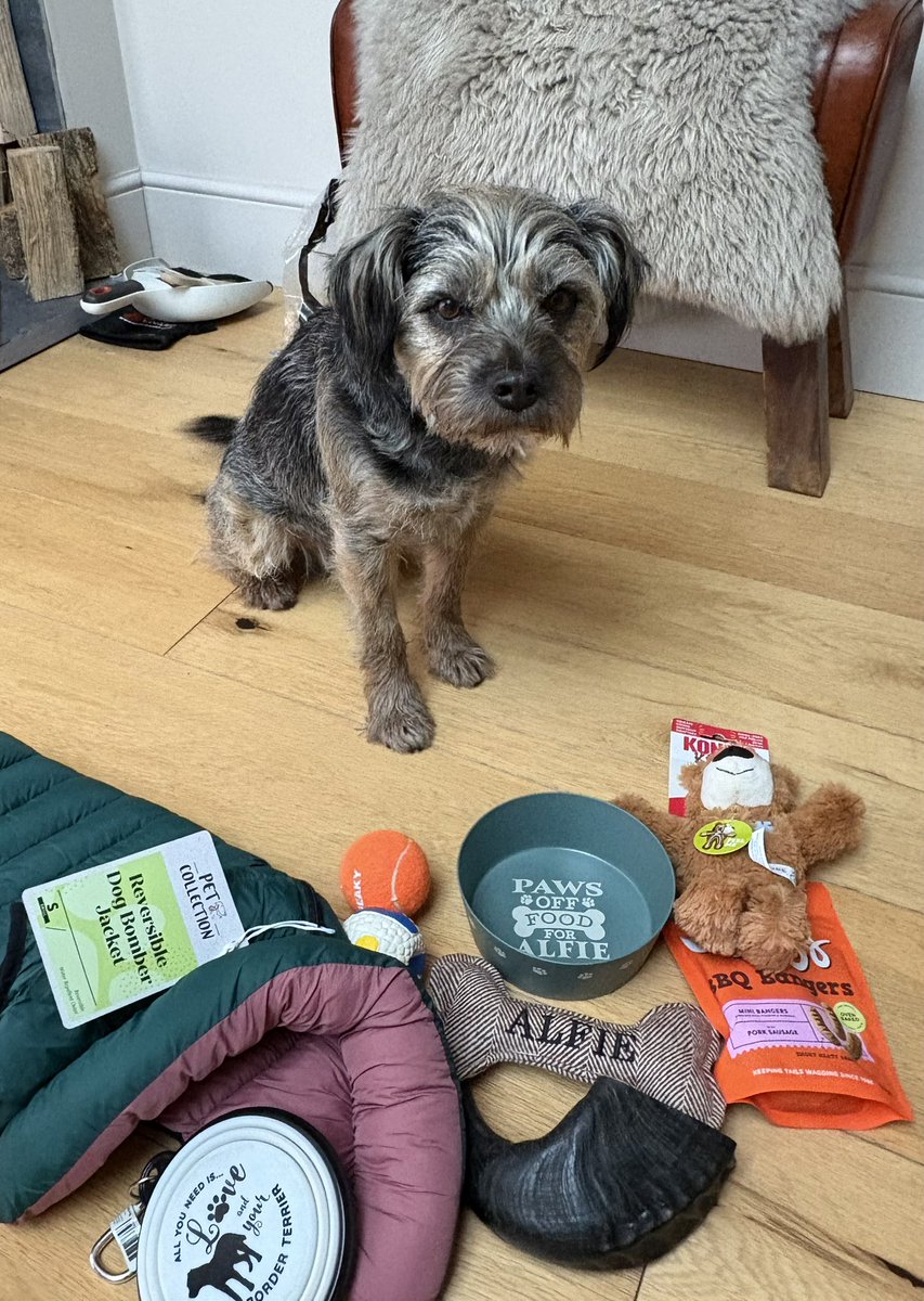 AlfietheBT's tweet image. Woohoo pals! 🥳 Finished medication 💪 after abscess procedure in time for 8th birfday treaties &amp;amp; cakey noms 🎂

🎶’appy birfday to me, I been for afternoon tea!’ 🎶 🐾 #btposse