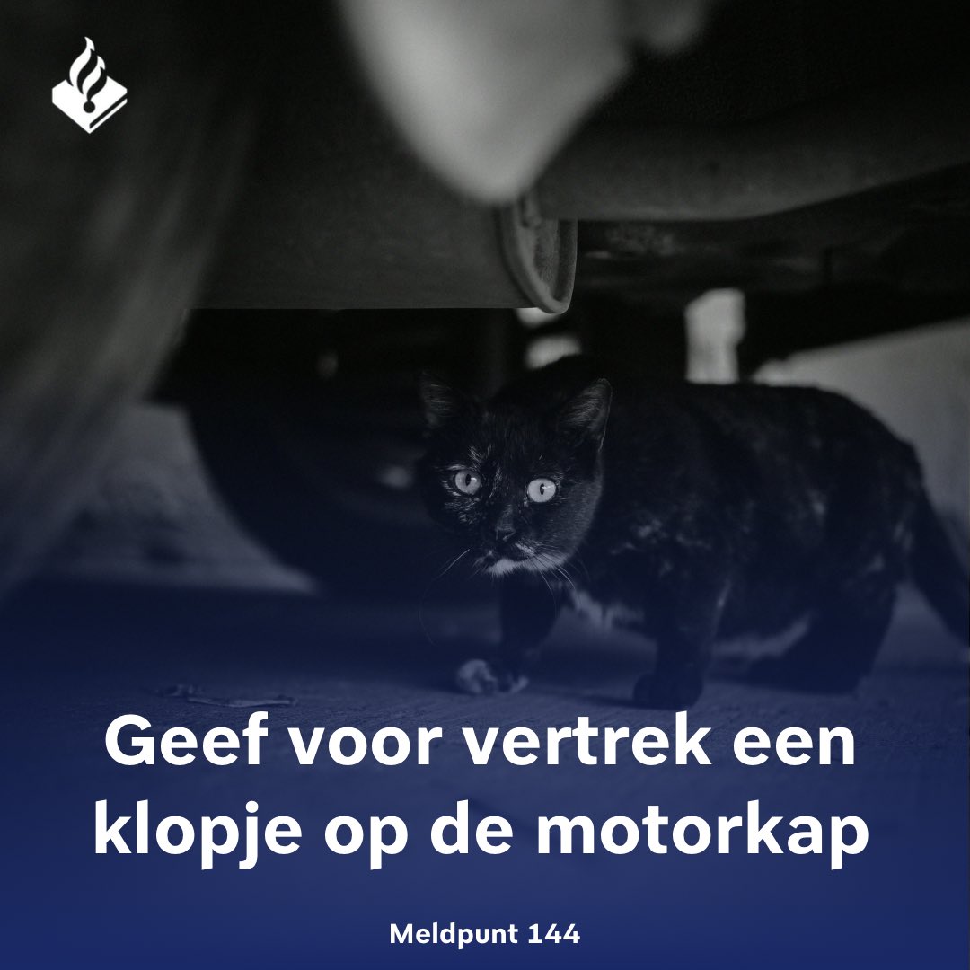 Tijdens de koudere dagen gaan katten (en klein wild) op zoek naar een warme schuilplaats.

💡Tik voor vertrek even op je #motorkap en luister aandachtig of er een reactie volgt. 

Dier bekneld of gewond? 📞144. Wij verbinden je zo snel mogelijk door met de juiste hulpdienst.