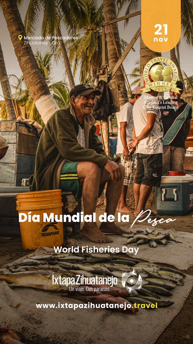 Celebramos el Día Mundial de la Pesca desde Ixtapa Zihuatanejo, un Pueblo Mágico donde el mar y la pesca han dado vida a nuestra historia. 🌊🐟

La pesca es herencia, identidad y orgullo. Honramos a quienes mantienen viva la esencia de nuestro Pueblo Mágico.
