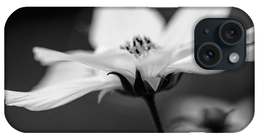 TLawren37609829's tweet image. Beautiful #phonecases on sale now! 25% ODD today 11/21 until midnight EST Great #gifts for this holiday season. fineartamerica.com/featured/remna… #holidaygift #giftsforher