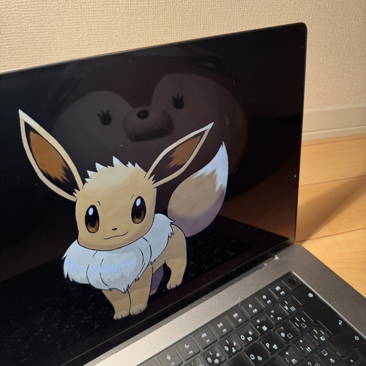 11月21日なのでイーブイと写真を撮るぼち郎(日付変わっちゃった)
#イーブイの日