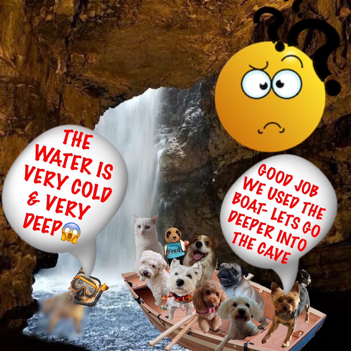 Bazz Pearson tweet media