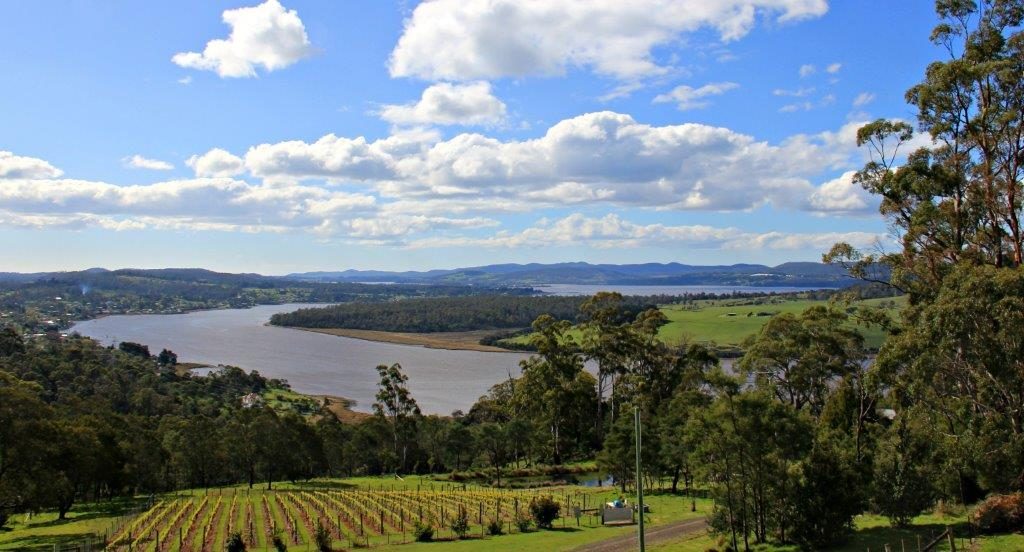 CompassandFork's tweet image. Wine Tasting in the Tamar Valley of Tasmania: A Day Well Spent bit.ly/2yReCHI #australia #tasmania #wine #travel #foodie