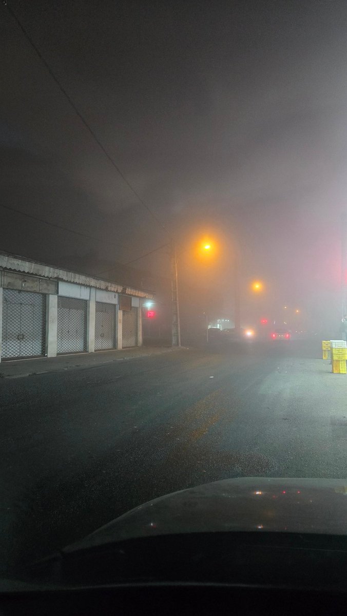 آبان ۱۴۰۴
مه بود و تولد و پیاده‌روی‌های زیاد.