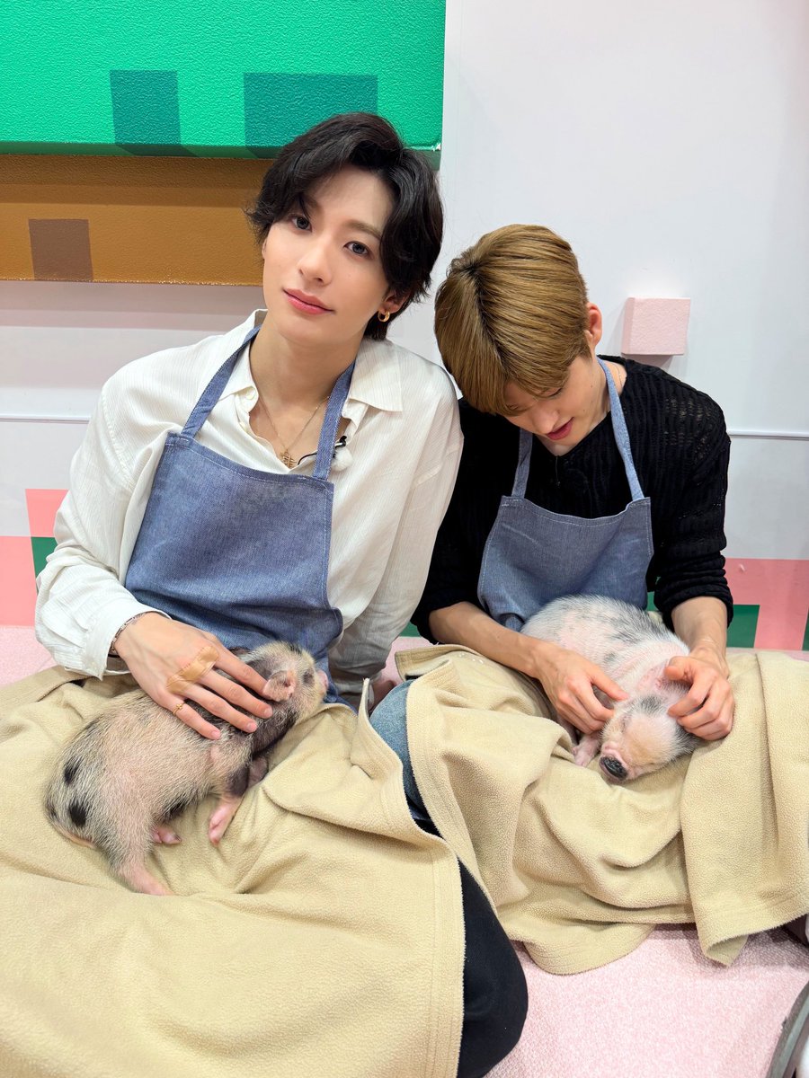 会報付RIIZE ショウタロウ トレカ BRIIZE FC 特典 002 003 会報付RIIZE ショウタロウ トレカ BRIIZE FC 特典 002 003