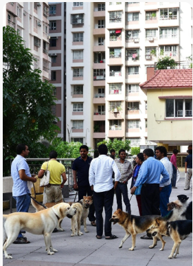 TheViditsharma's tweet image. A Two min read  please read :

Animal–Human conflict in high-rise societies is solvable  here’s how :

• 100% sterilization &amp;amp; vaccination  the only proven method.

Run cluster-wise ABC drives for 3–4 societies at a time. Mobile vets sterilize, vaccinate, and tag dogs so…