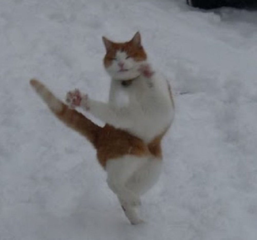 ecesbetch's tweet image. BACK AND CAUGHT UP ON HALEF
yildiz my baby get behind me real quick you deserve the whole fcking world