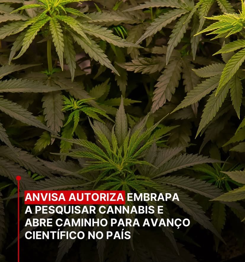Mais um grande passo foi dado 🙏🏼🙌🏼