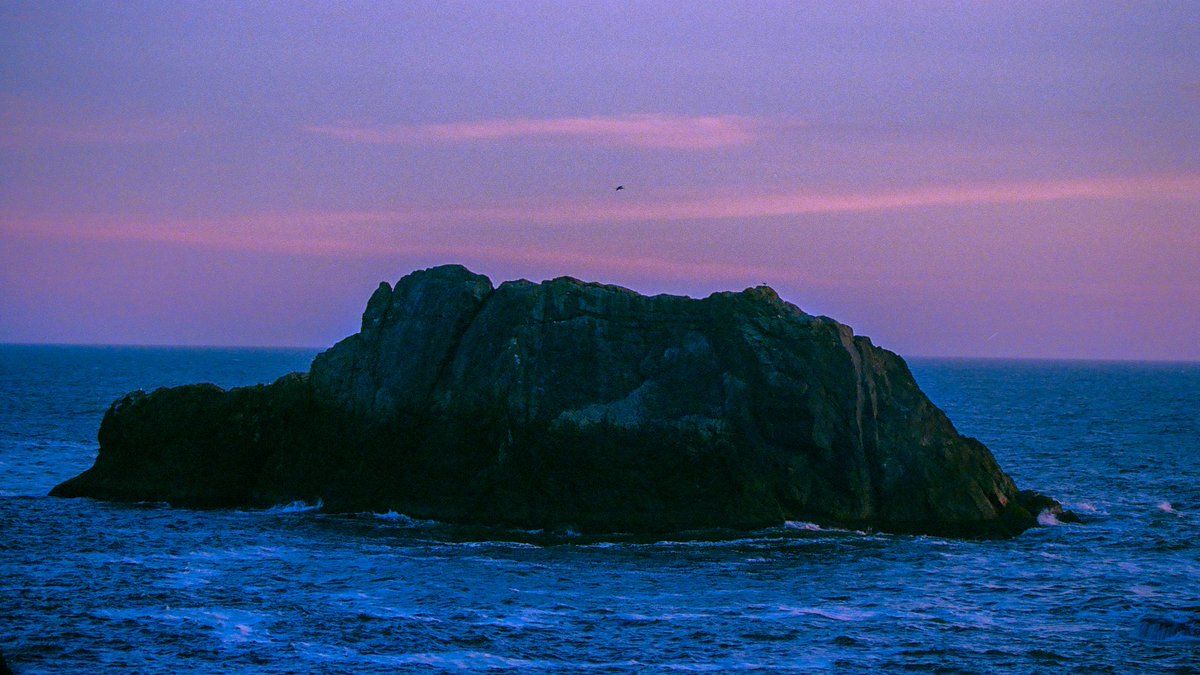 visualsofearth1's tweet image. Oregon Coast