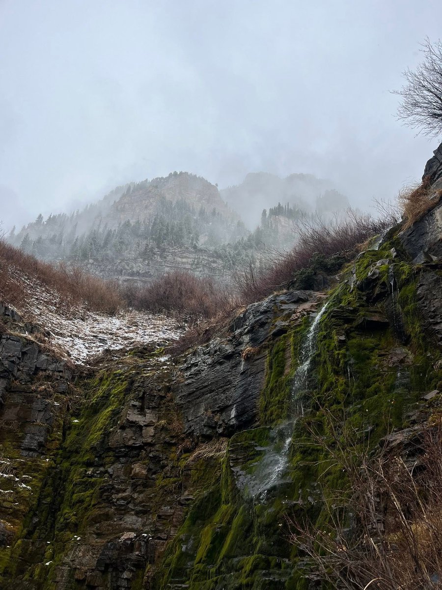 razzle (@razzledaxel) on Twitter photo 