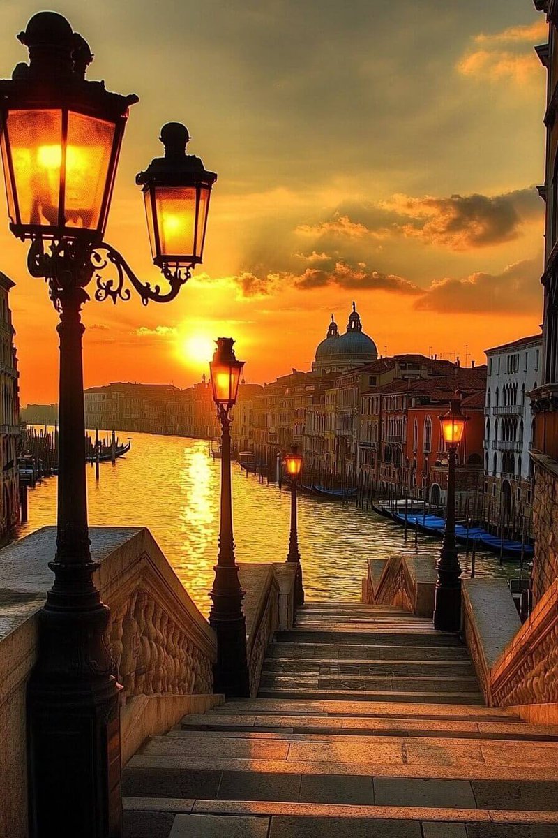 #DrOsamaRabie tweet media