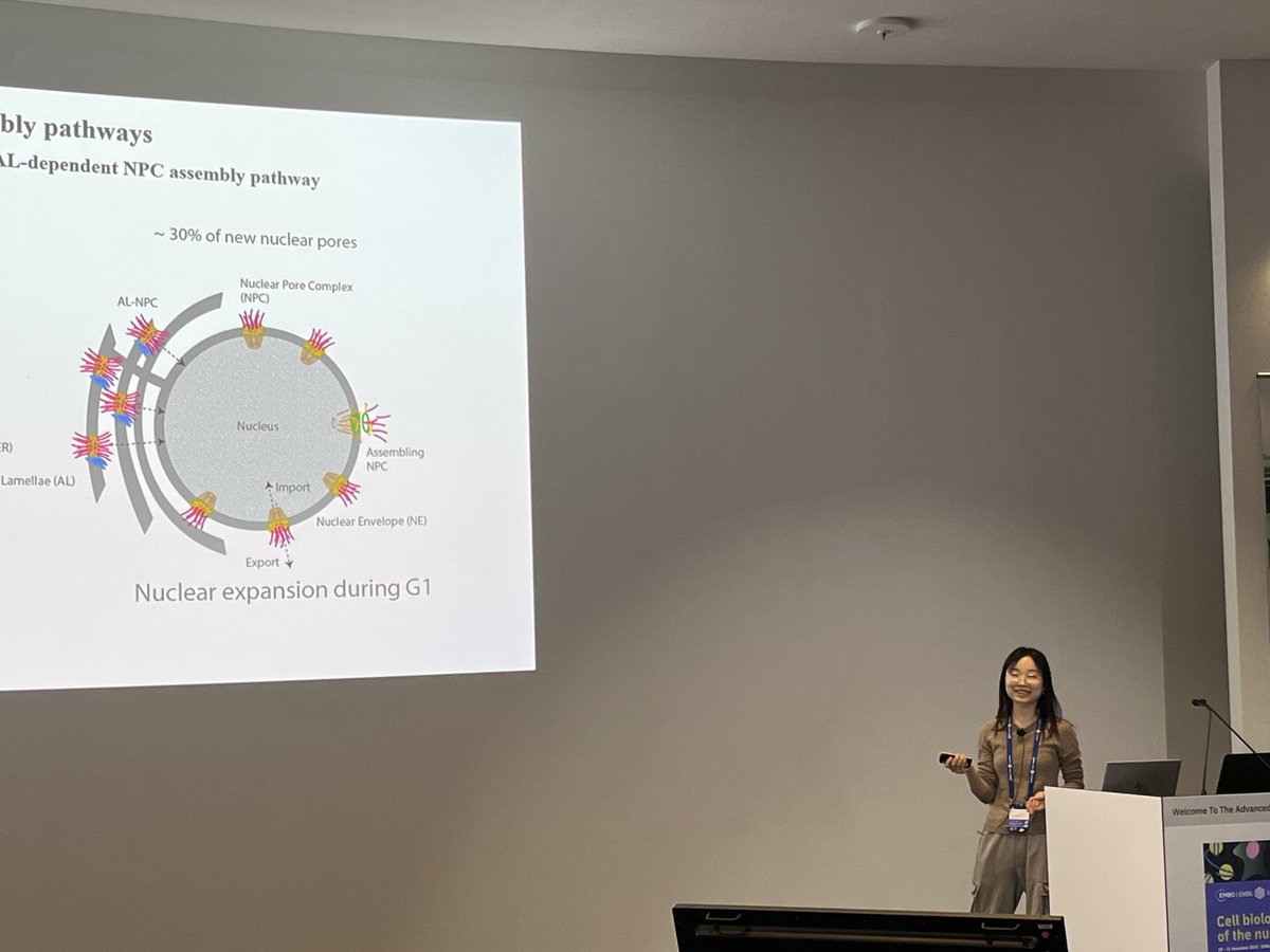 SumaraLab's tweet image. Our own Dr. Xiaotian Liu presented a talk on the role of asymmetric dimethylation in nuclear pore assembly at the #EESNucleus EMBO meeting. We couldn’t be prouder 🤓😎😁😁