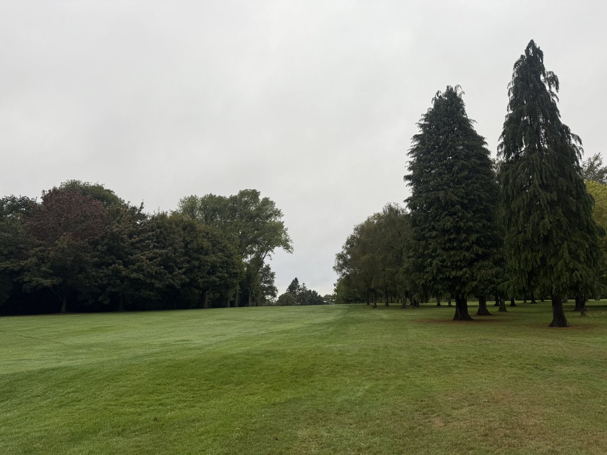 c86low's tweet image. Busy few weeks on the saws! Conifers removed and logs collected up during the frost today! Car park extension prep underway! #weekend #chainsaw #golfcourse #golf #winter