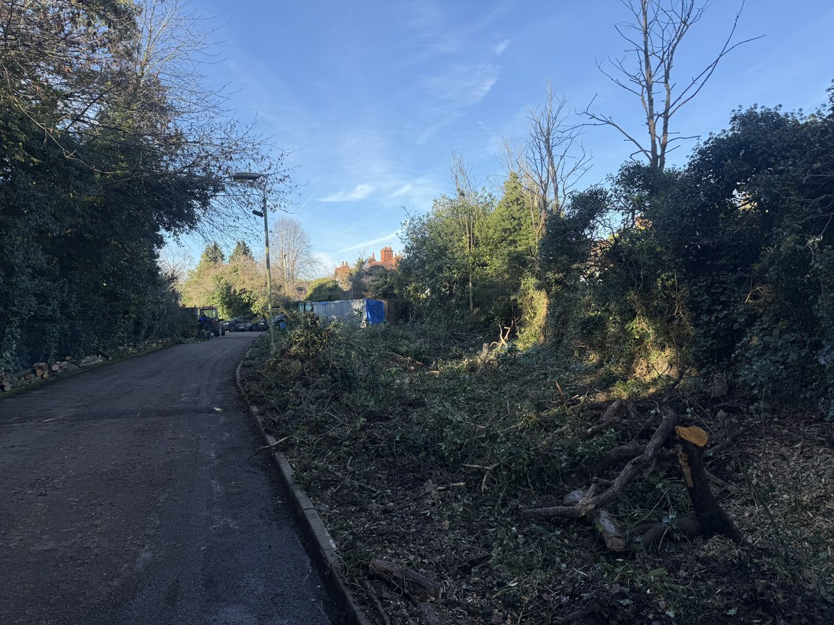 c86low's tweet image. Busy few weeks on the saws! Conifers removed and logs collected up during the frost today! Car park extension prep underway! #weekend #chainsaw #golfcourse #golf #winter