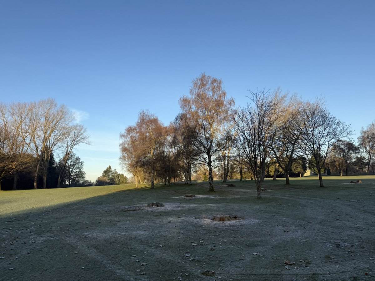 c86low's tweet image. Busy few weeks on the saws! Conifers removed and logs collected up during the frost today! Car park extension prep underway! #weekend #chainsaw #golfcourse #golf #winter