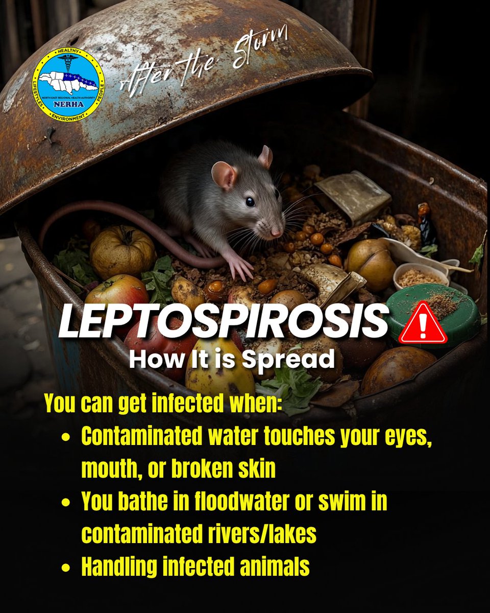 MOHNERHA tweet media