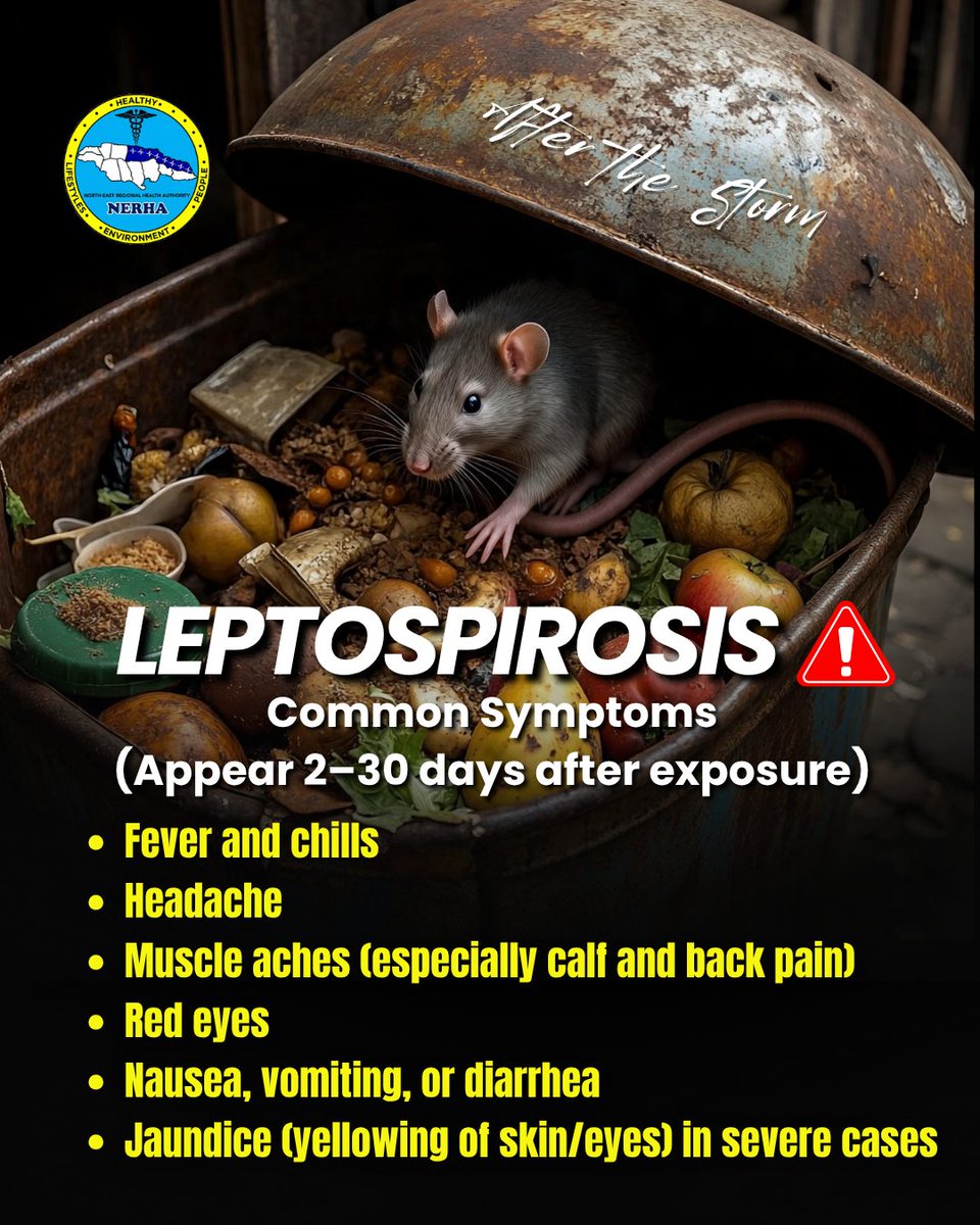 MOHNERHA tweet media