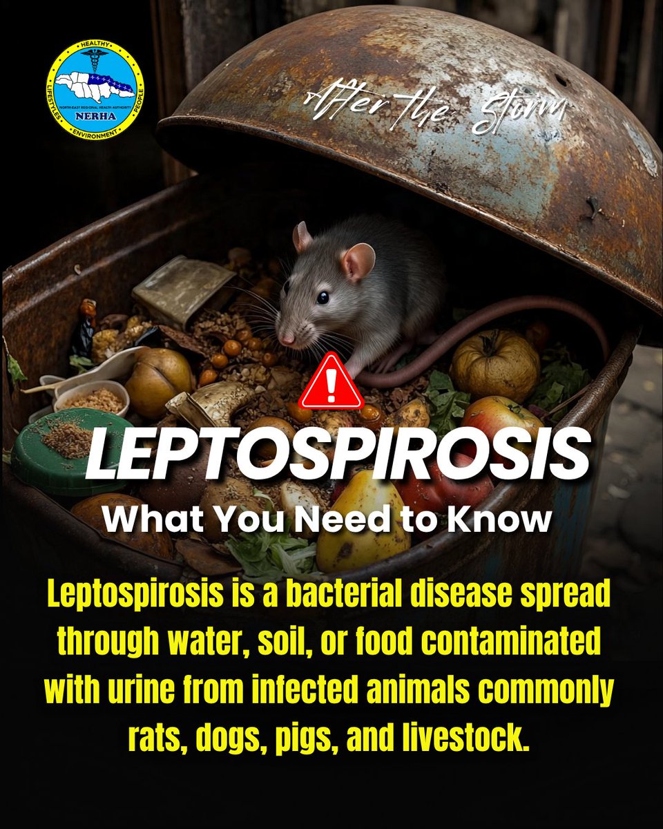 MOHNERHA tweet media