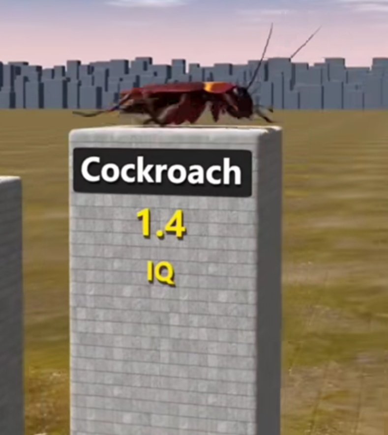 Modeling_Imgntn's tweet image. 