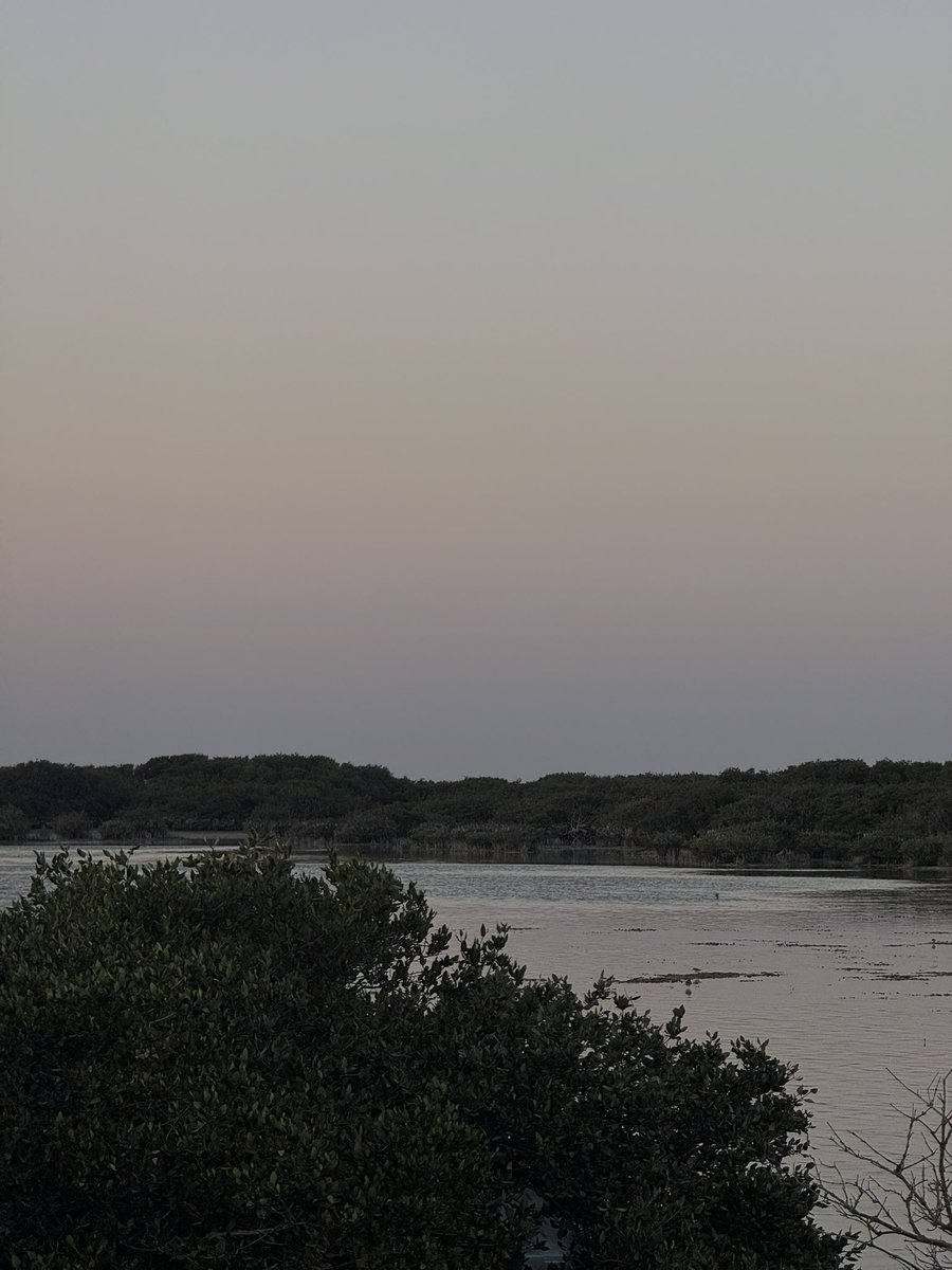 أحب قطيييييفنا❤️❤️❤️❤️❤️
"قالوا القطيفُ فَقُلتْ غايةُ مَقصدي، ألقِ المراسِي أيُهَا الرُبّانُ"