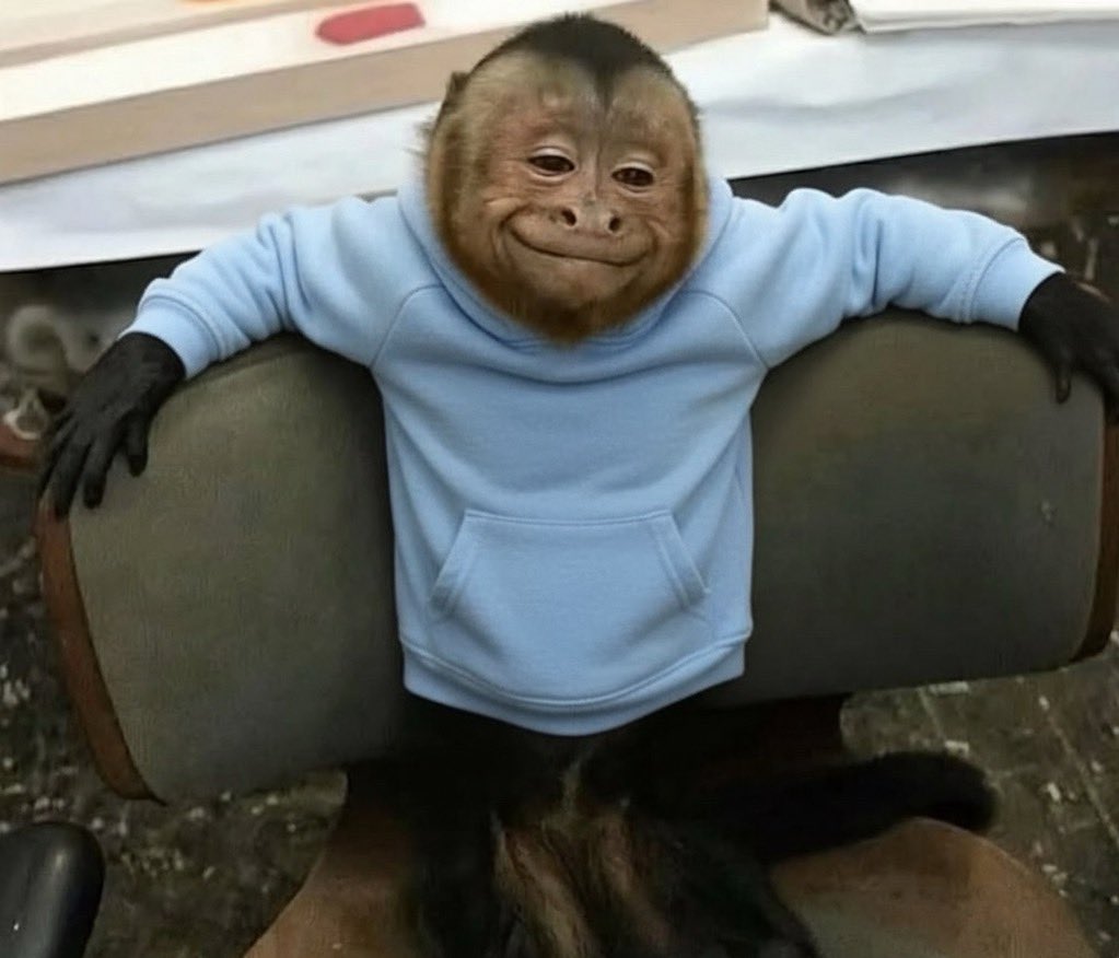 everything will be fine if you just believe