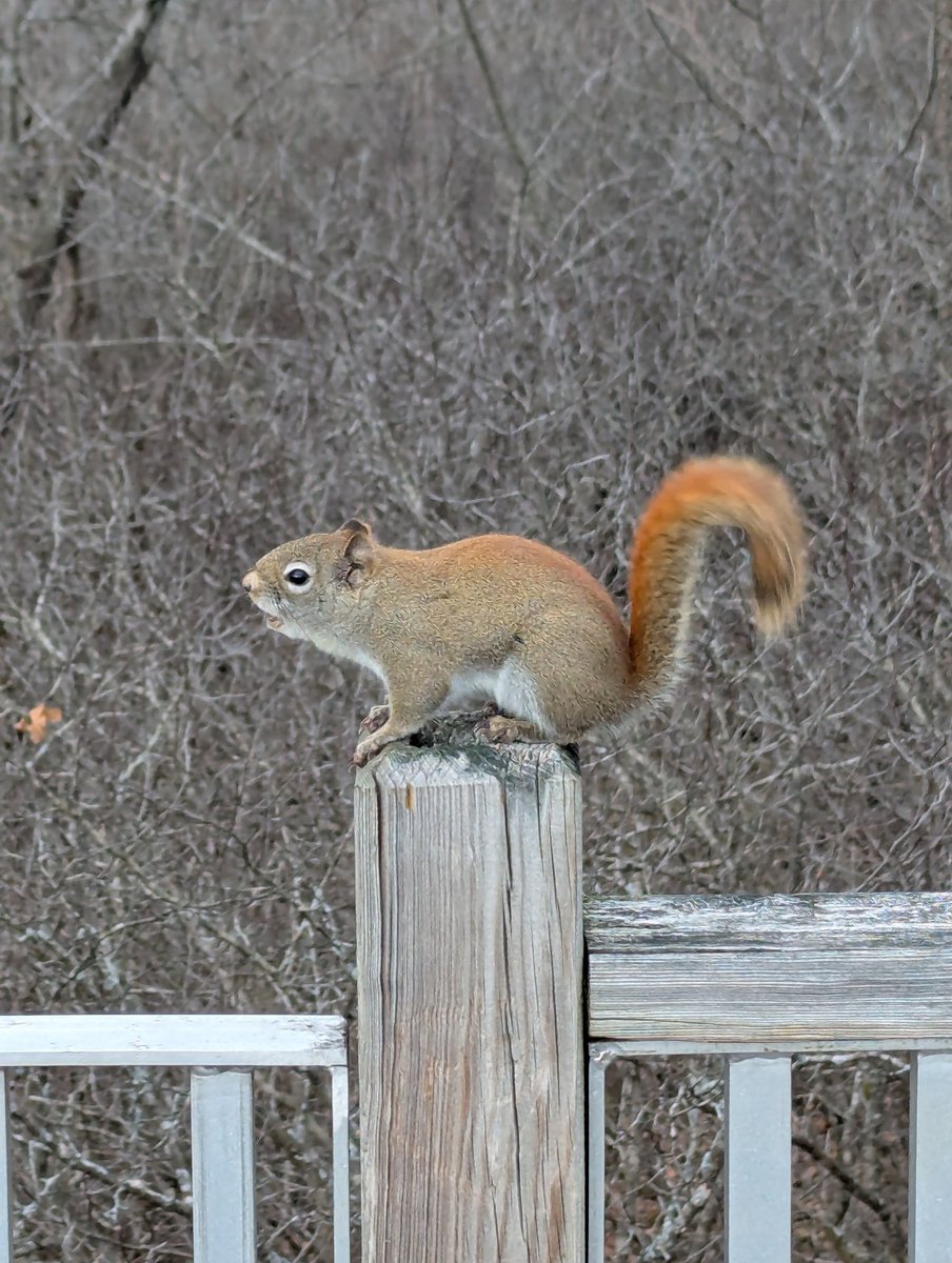 Grampa1950's tweet image. It’s #FreeFriday  
Feel free to share any photo you like！
Here&apos;s a few from yesterday!