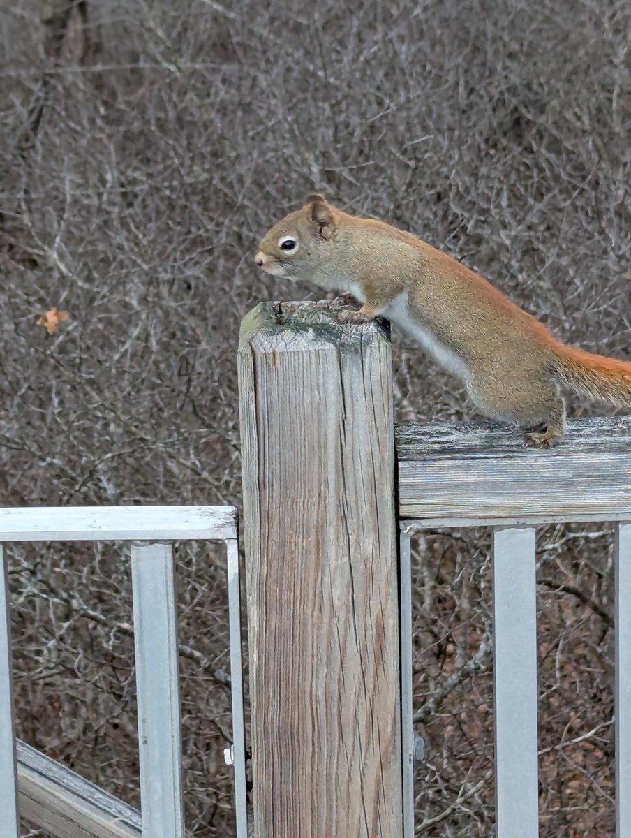 Grampa1950's tweet image. It’s #FreeFriday  
Feel free to share any photo you like！
Here&apos;s a few from yesterday!