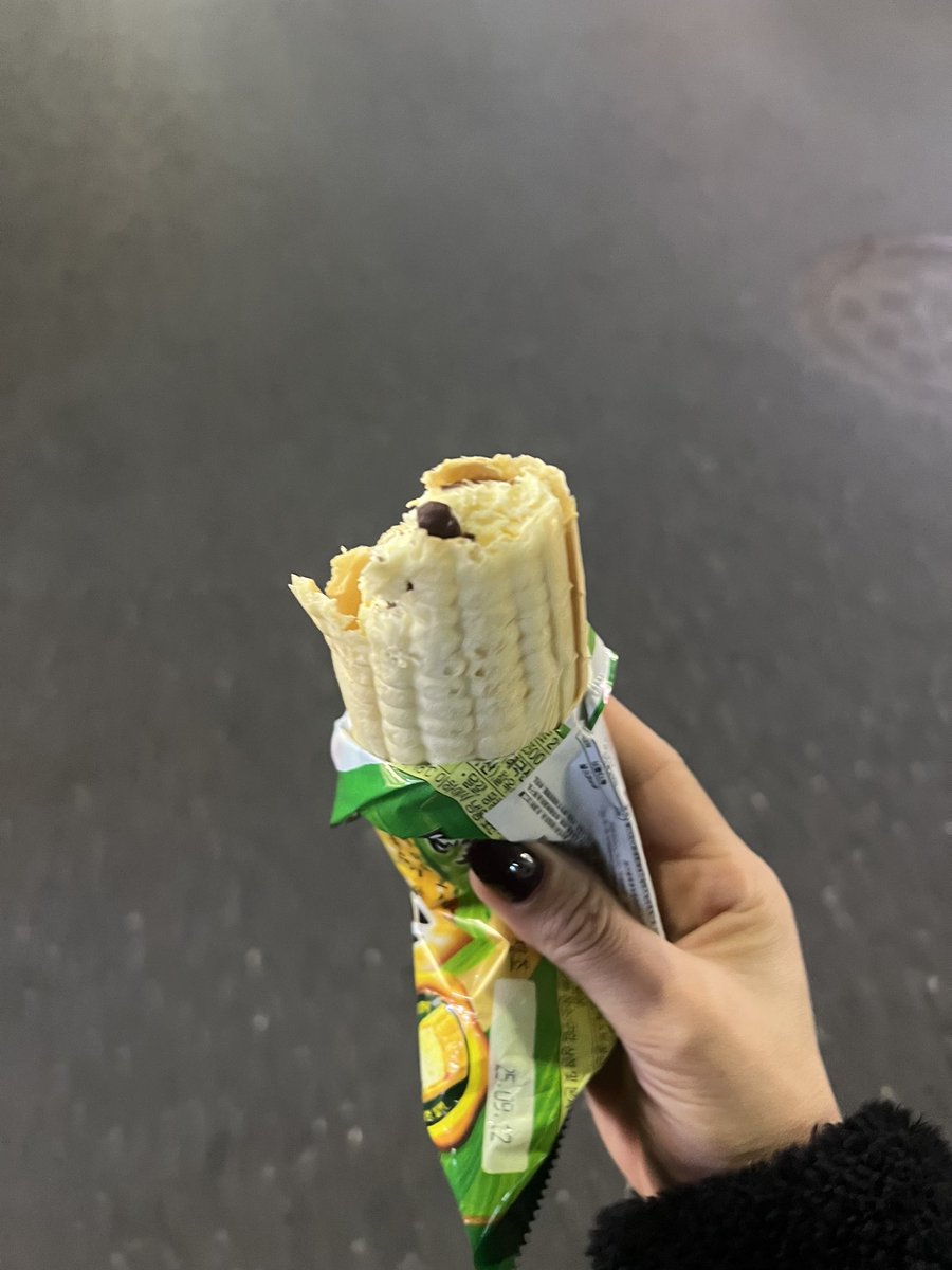 Maaşın yarısını verip Jungkook kankamın favori dondurmasından aldım 😌