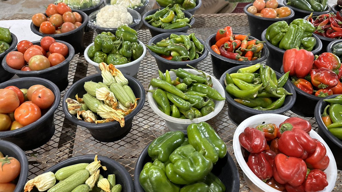 LO_loo's tweet image. جمعه في المزرعه