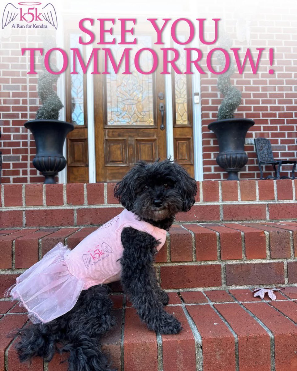 k5k_run's tweet photo. We can’t wait to see you at the k5k TOMORROW! Bring your friends, family, and your dogs, and don’t forget to wear your pink!

Packet Pickup: Today 3-6pm OR Race Day 7:45am-8:45am on 30th Street. 

Post-Race Party: Shack on 8th at 11:00am for participants and volunteers! #k5k2025 https://t.co/M7wlkMSc3c