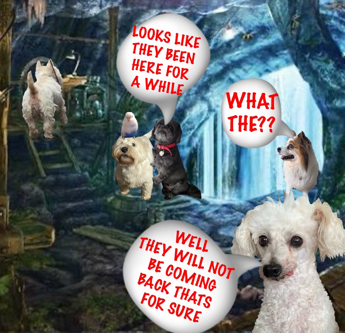 Bazz Pearson tweet media