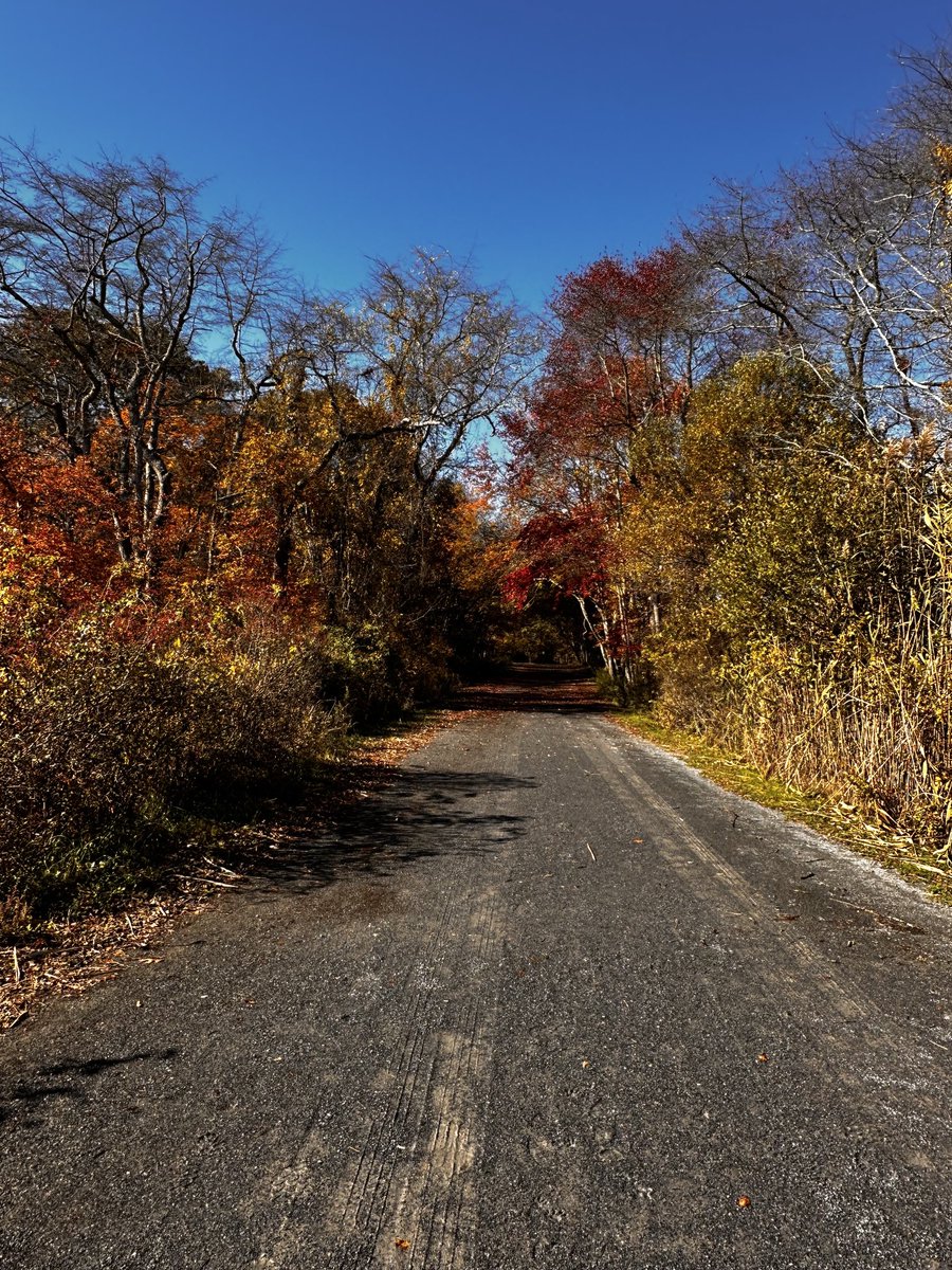 ReineM's tweet image. Spirit whispers… walking the path of letting go is honoring the journey of change. The road is worth it.🙏