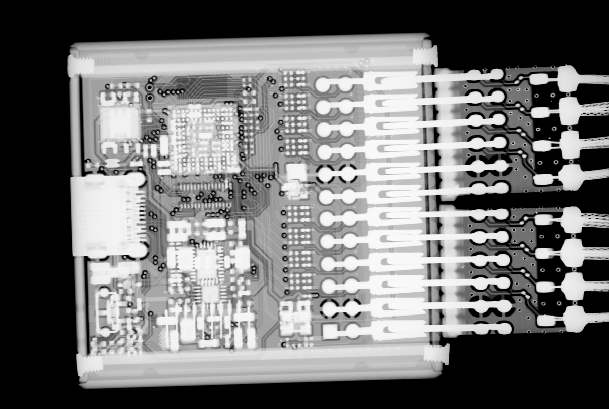 Robin Bradshaw tweet media