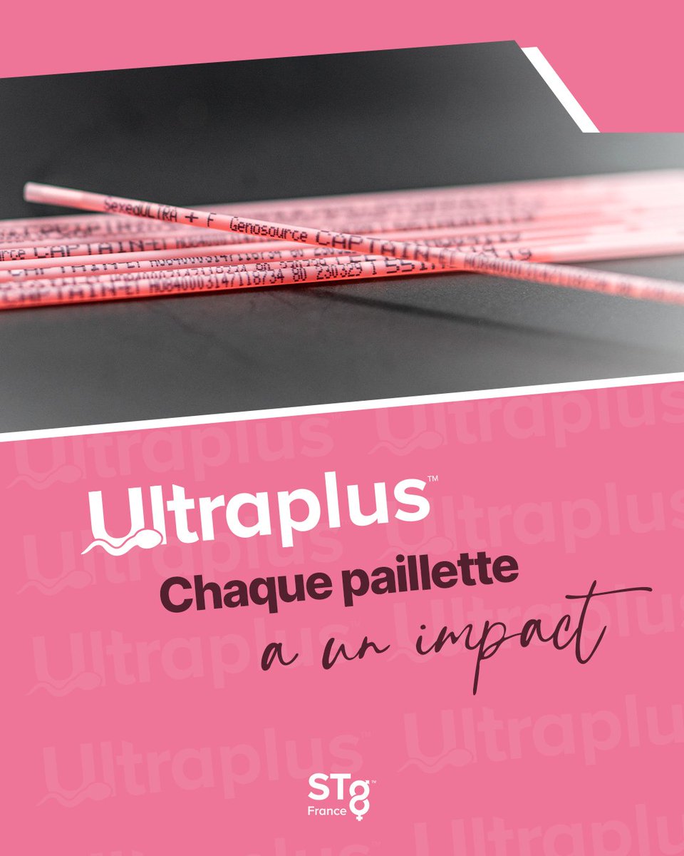 stgeneticsfr's tweet image. Avec la semence sexée #Ultraplus™ de #STgeneticsFrance, l’impact est clair : certitude, rentabilité, durabilité.
Ultraplus™ apporte à votre stratégie d’élevage davantage de précision, un progrès génétique accéléré et une amélioration de vos résultats économiques ! #Précise