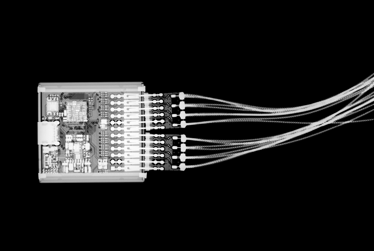 Robin Bradshaw tweet media