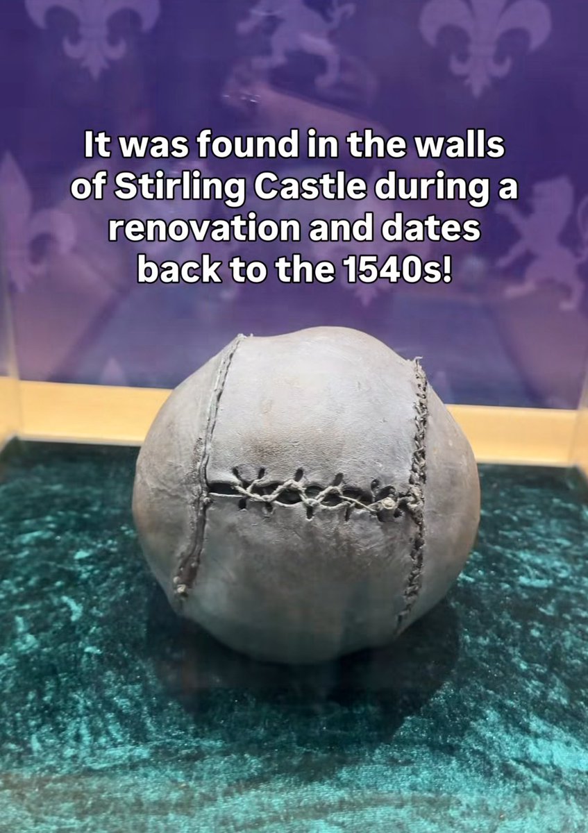 Mike Dailly™ 🏴🇺🇦🇵🇸💙🌱 tweet media